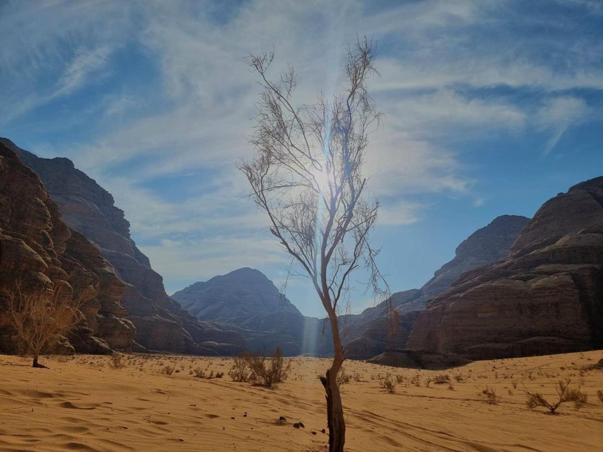 Wadi Rum Oscar Camp Zewnętrze zdjęcie